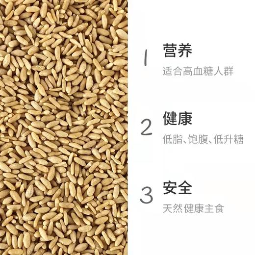 奇正西藏低脂肪低升糖食品青稞速食方便米饭330g/盒常温包装 商品图3