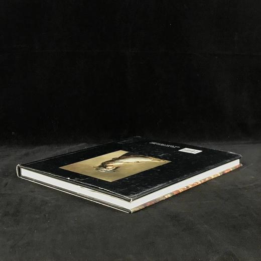 从文艺复兴到洛可可：沃兹沃斯·雅典娜艺术馆图集 约百幅彩色插图 精装大16开 商品图2