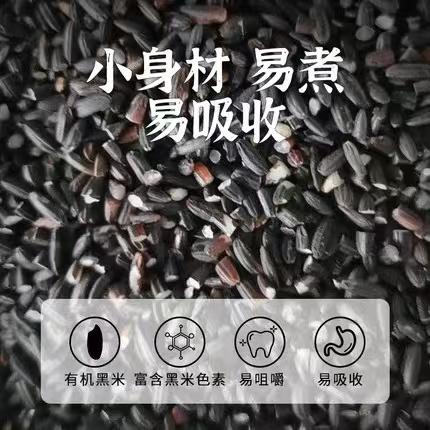 周大黑 陕西特产 洋县有机黑米1kg~2.5kg 商品图4