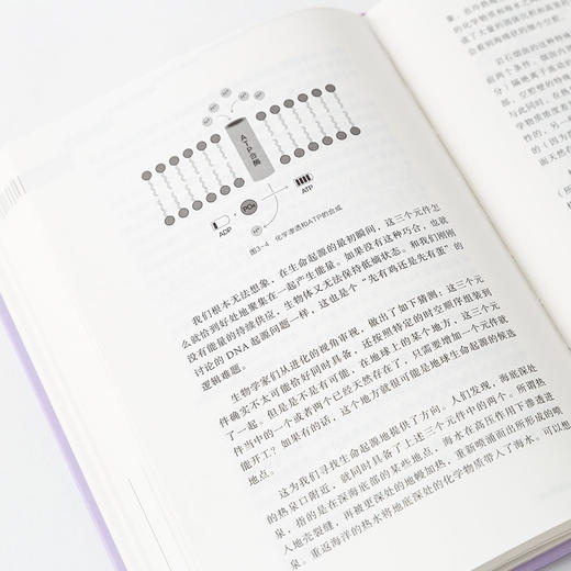 《王立铭进化论讲义》 商品图4