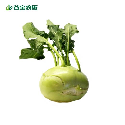 谷宝生态苤蓝 商品图0