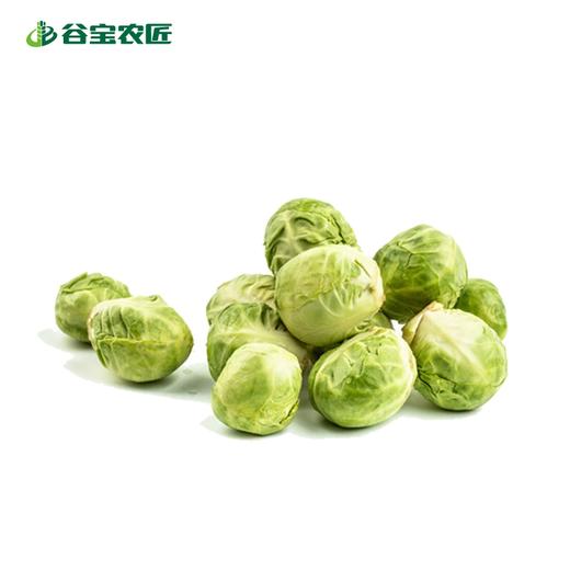 谷宝生态绿孢子甘蓝 商品图0