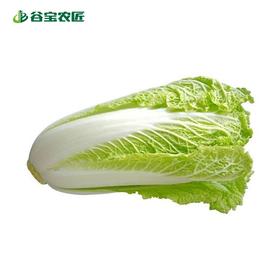 谷宝生态黄芽白300g