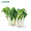 谷宝生态奶油青菜 商品缩略图0