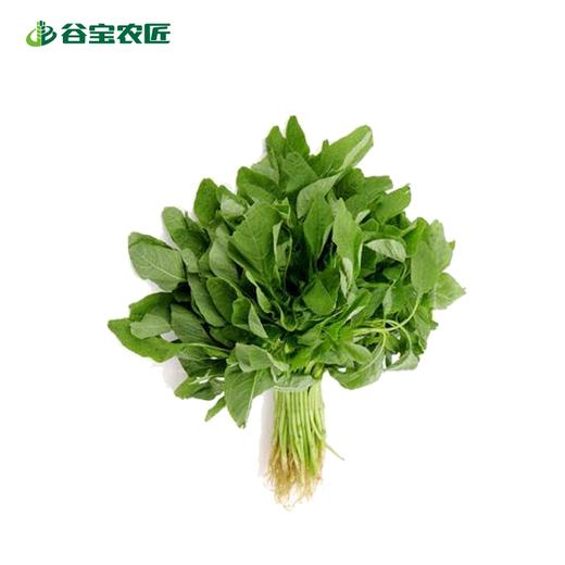 谷宝生态青苋菜 商品图0