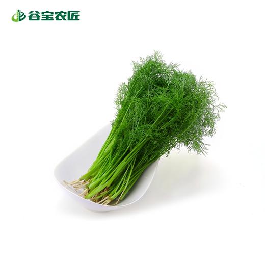 谷宝生态茴香 商品图0