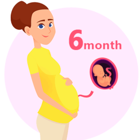 【孕6月】我的宝宝会动了