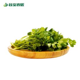 谷宝生态香菜