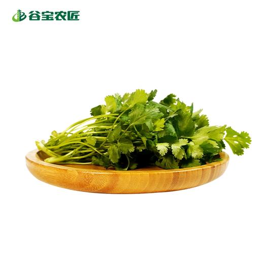 谷宝生态香菜 商品图0