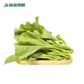 谷宝生态冬寒菜