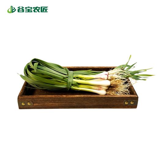 谷宝生态大蒜苗 商品图0