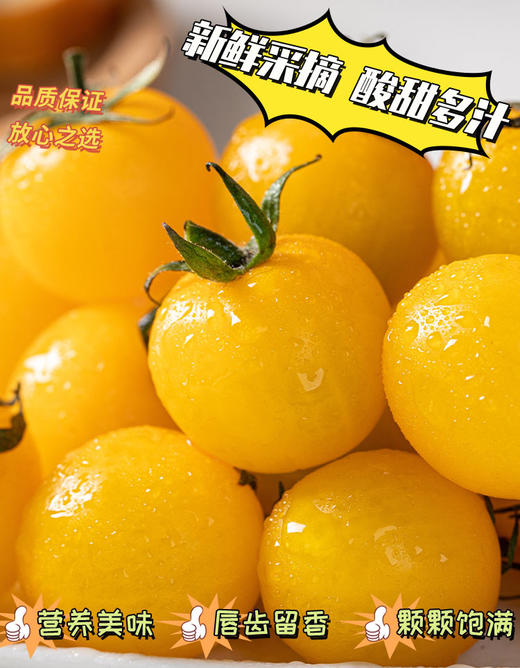 黄色樱桃小番茄4斤装 商品图1