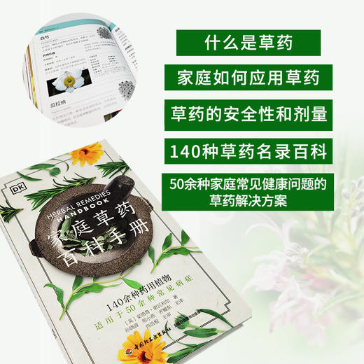 DK生活.家庭草药百科手册 商品图4