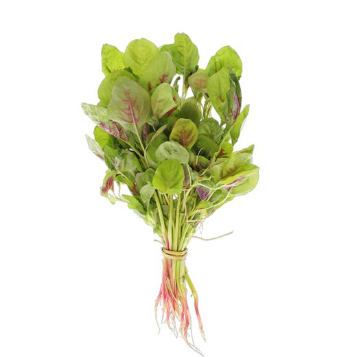 谷宝生态红苋菜 商品图0