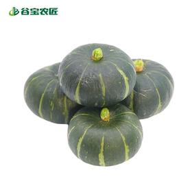 谷宝生态贝贝南瓜