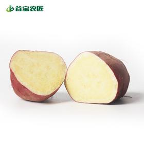 谷宝生态小香薯