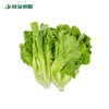 谷宝生态意大利生菜 商品缩略图0