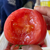 『普罗旺斯西红柿』一款当水果吃的番茄贵族 商品缩略图1