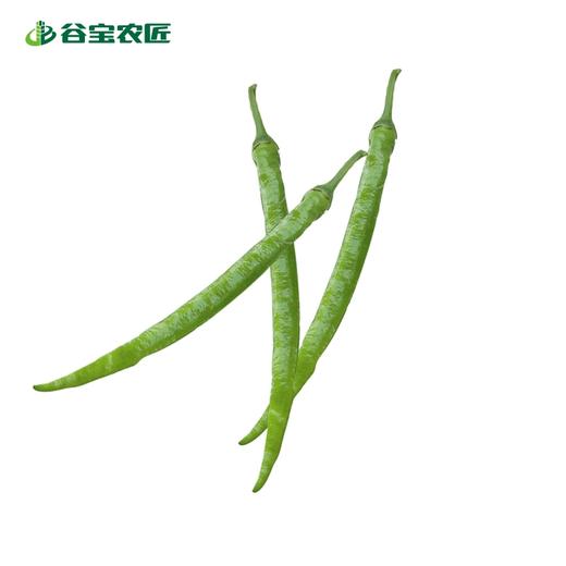 谷宝生态尖椒 商品图0
