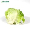 谷宝生态球生菜 商品缩略图0