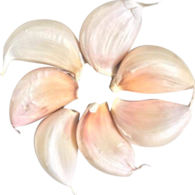 绿源禾心有机大蒜（线下）