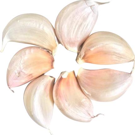 绿源禾心有机大蒜（线下） 商品图0