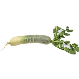 绿源禾心有机青萝卜（线下）