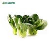 谷宝生态苏州青菜 商品缩略图0