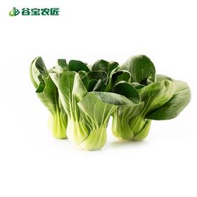 谷宝生态苏州青菜