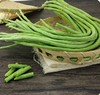 绿源禾心有机豆角（线下） 商品缩略图0