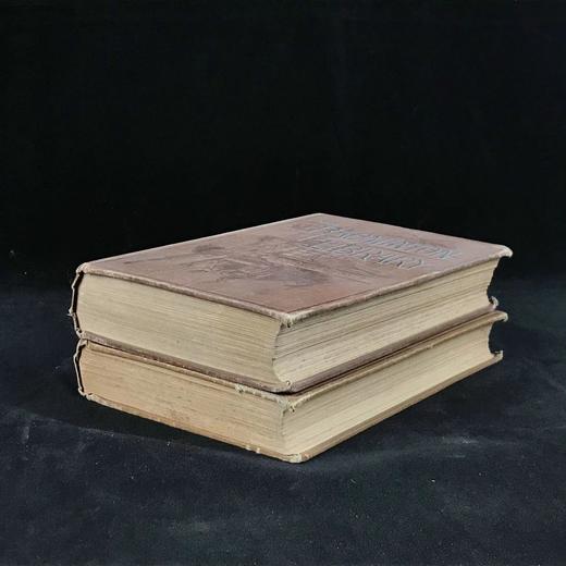 1893年 垂钓指南（全2卷） 数百幅版画插图 漆布精装32开 商品图1