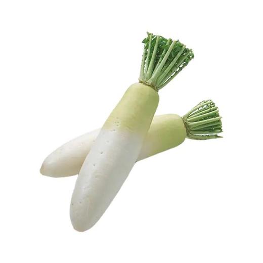 绿源禾心有机白萝卜（线下） 商品图0