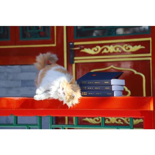 天同办案手记 商品图3