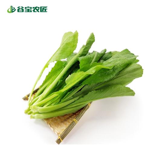 谷宝生态甜菜 商品图0