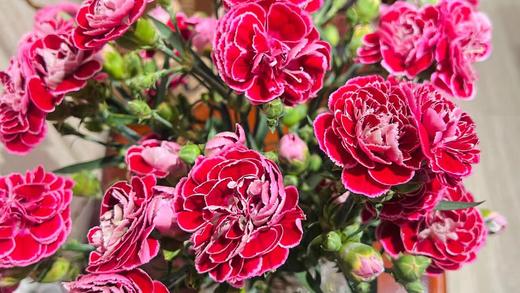 如何利用鲜花美图打造朋友圈 商品图0