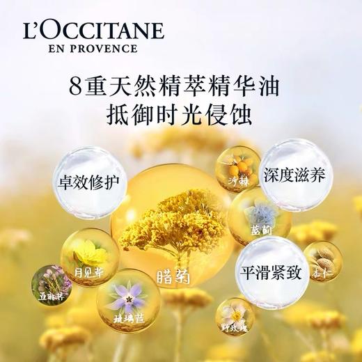 欧舒丹（L'OCCITANE）黄金蜡菊赋颜御龄精华油30ML 商品图2