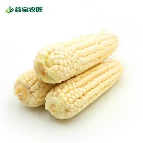 谷宝生态糯玉米