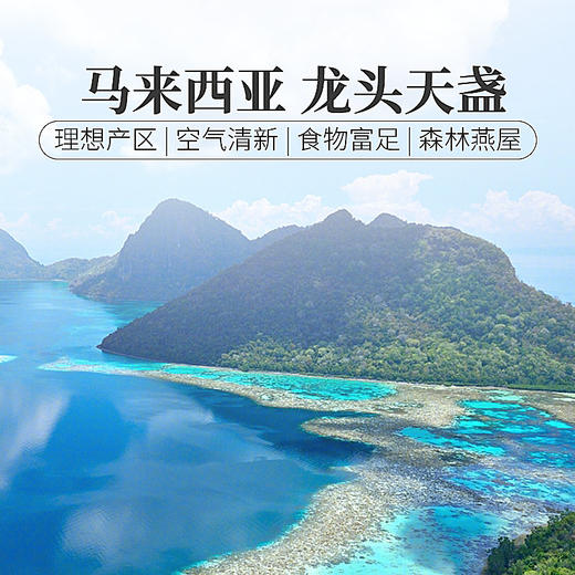 庄民 燕窝 7A干燕窝白燕盏礼盒 100g 龙头天盏 正规马来进口溯源 正品女人老人滋补品一盏一码 顺丰包邮 商品图6