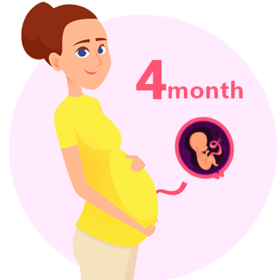 【孕4月】TA动了