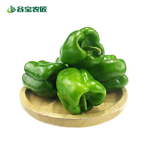 谷宝生态圆椒 商品图0