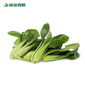 谷宝生态鸡毛菜