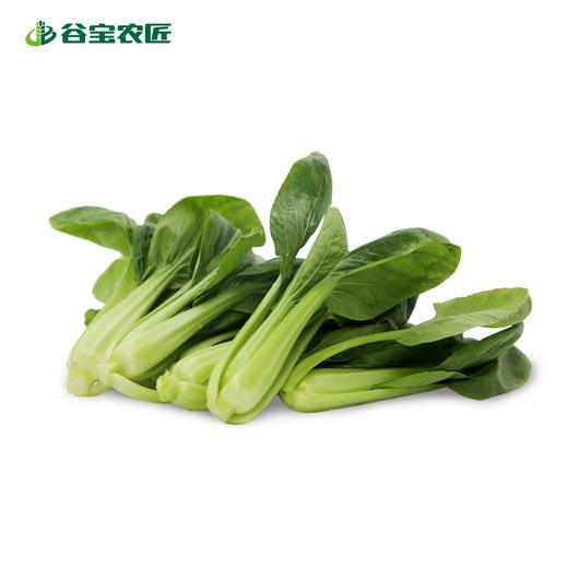 谷宝生态鸡毛菜 商品图0