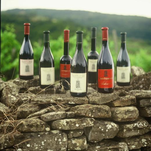 圣汤马斯塞塔泽干红葡萄酒（2010） 商品图1