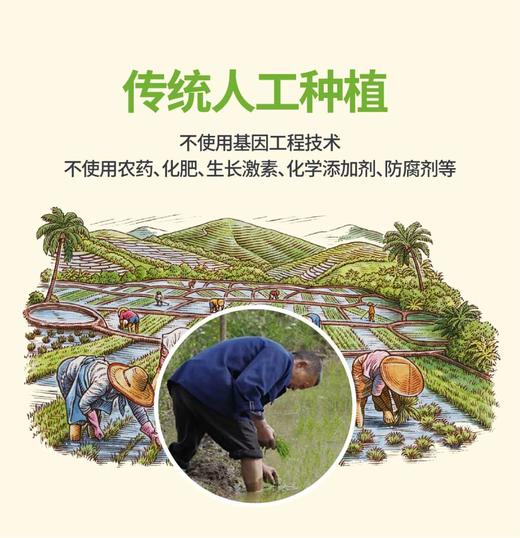 陕西特产 洋县有机五彩米礼盒2kg 商品图3