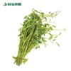 谷宝生态水空心菜 商品缩略图0