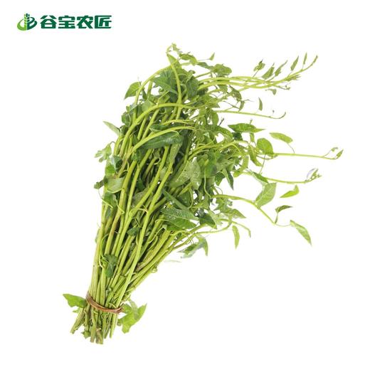 谷宝生态水空心菜 商品图0