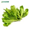 谷宝生态大叶茼蒿 商品缩略图0