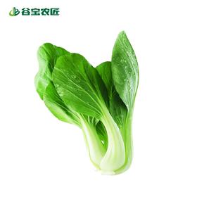 谷宝生态大青菜