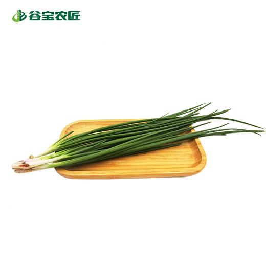 谷宝生态香葱 商品图0