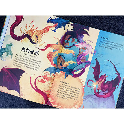 神龙共舞套装 商品图5